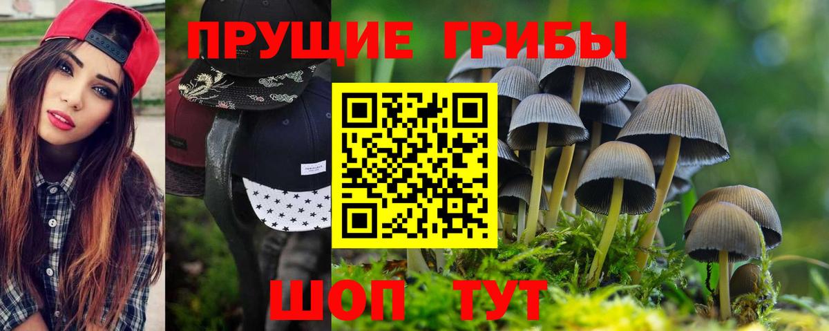 Троицк  Псилоцибиновые грибы Psilocybe  Вход с VPN 